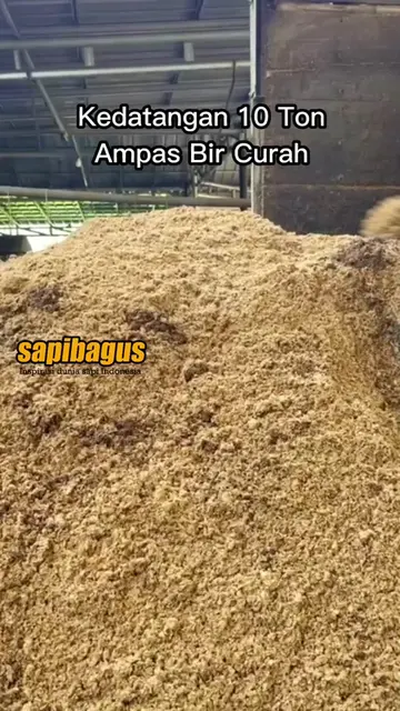 Kedatangan-10-Ton-Ampas-Bir